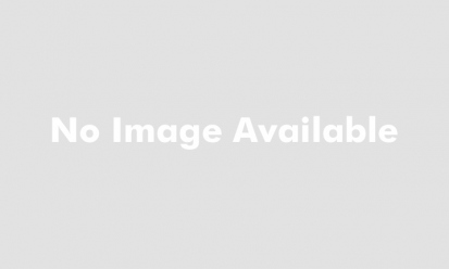 Premium Lawn Service screenshot