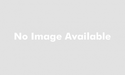 Tiny Tree Academy screenshot